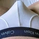 BoxerGuy953