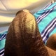 Slhotboy_9dick