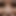 davescock1