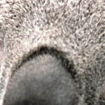 Xhamster profile picture for @ilss