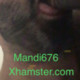 Mandi676