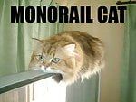 Monorailcat