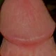 CWD343