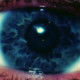 Asspoo22