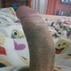 MaxGomez87