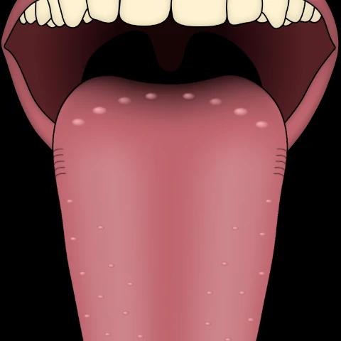 Pussy-Licker-Bg