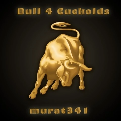 murat341