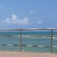 Rodrigues010