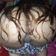 shahin354