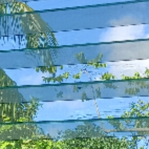 XeldarniwXD19