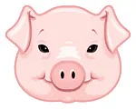 CochonRose