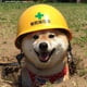 bkazooey