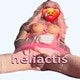 Heliactis