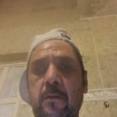 pedeo215
