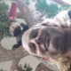 Dewitmikeman