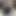 Xander Romano