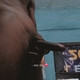 HurtfulTraveler9