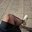 stefy_cd