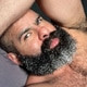 OscarBear7