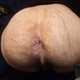 NastySluttyBoy