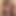 TransBabes