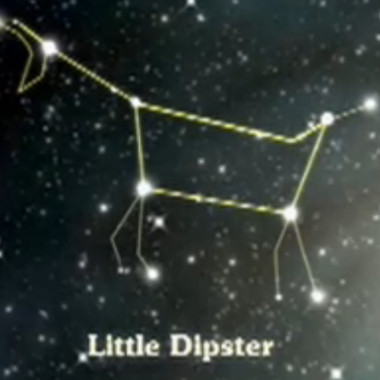 TheLittleDipster