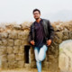 Ronu33