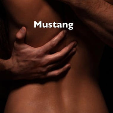 mustang333333