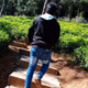 Tamil_Mannan