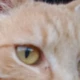 Sebastian96_