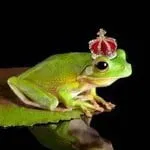 frogprince3