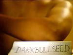 DARKBULLSEED