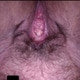 GILFTracyBSeekBbc