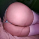 davidslo