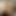 Cuckoldcpl77