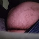 Passiva85