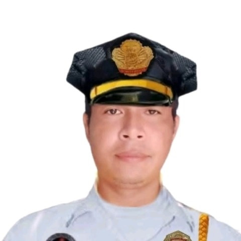 Ryanpoging