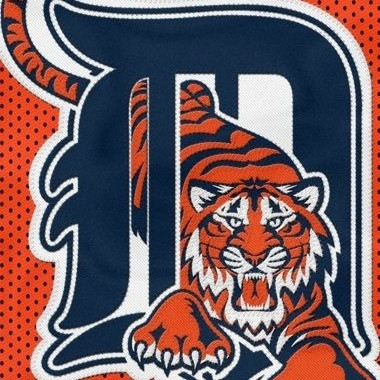 tigerfan20