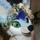 BlueHusky98uwu