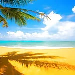 HawaiianPrincesss