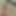 snakesex25