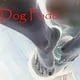 DogPodo