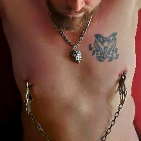 steveDE666