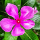 Dilip8372