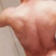 Soyapari