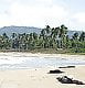 steve_1077