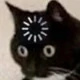 steve129