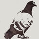 pidgins