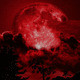 bloodmoonx