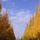 aitoyuki